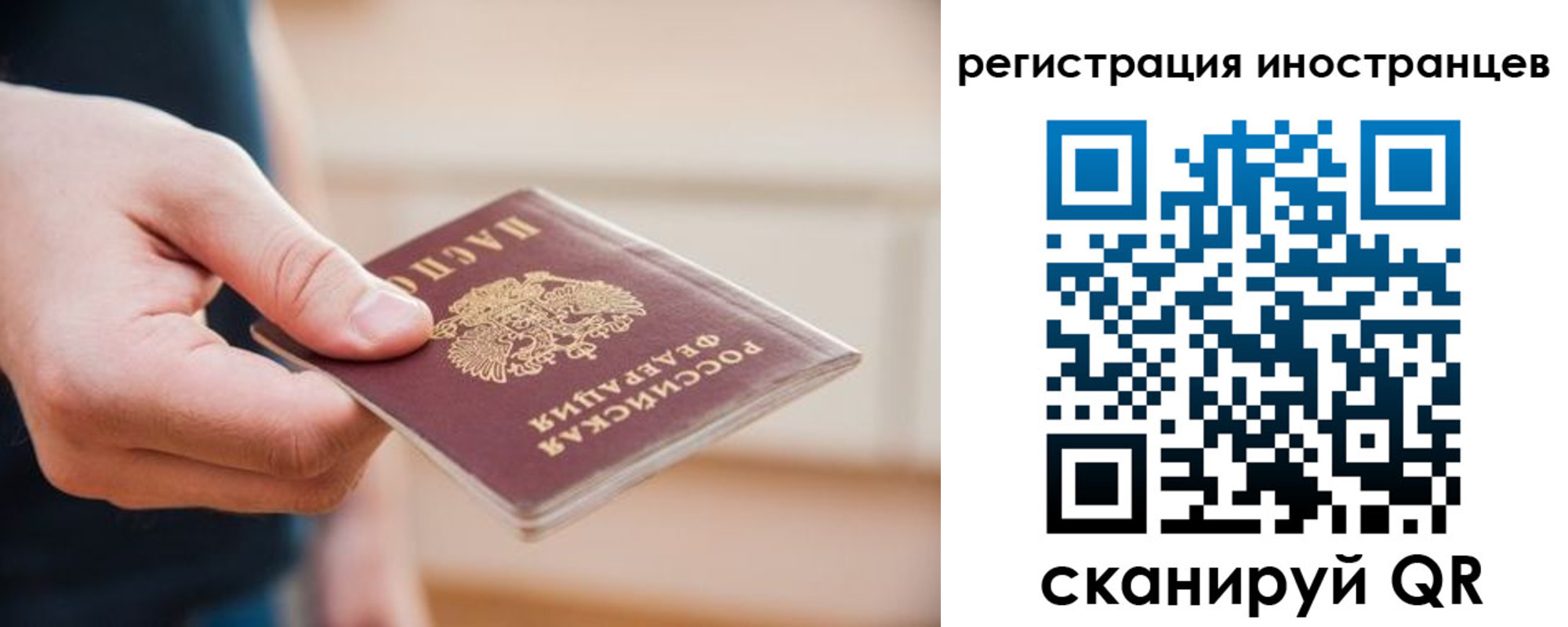 прописка гарантия в Заволжье